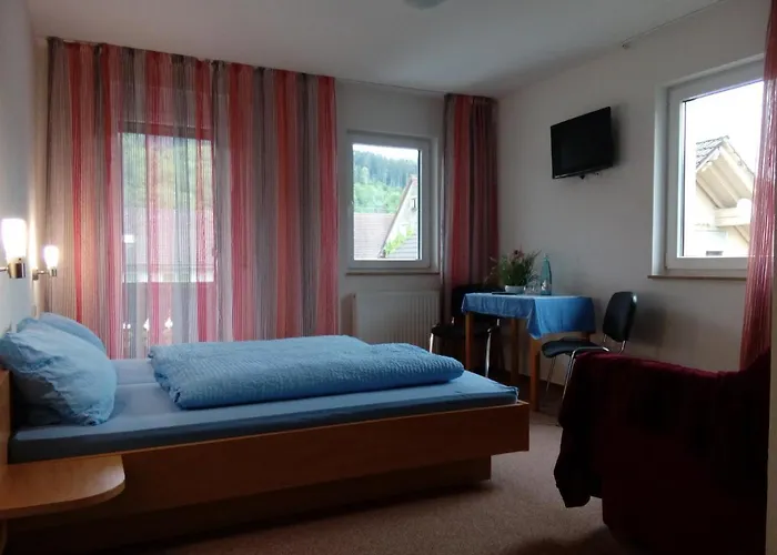 Gruppen-hotel- Gasthof Baren, Schwarzwald Bei Freiburg ゲストハウス ヴィンデン・イム・エルツタール